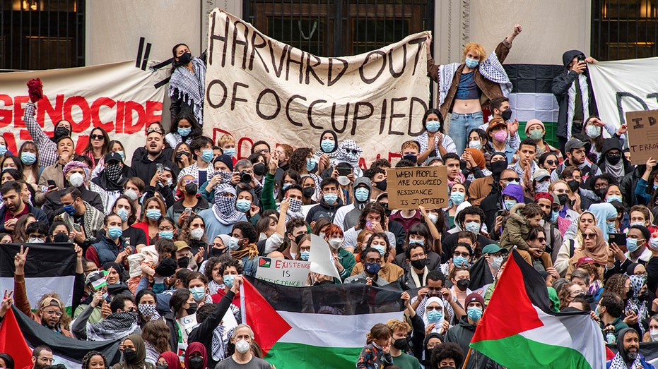 Harvard president calls students 'ignorant' on Israel-Palestinian conflict Byron Bay Accountants