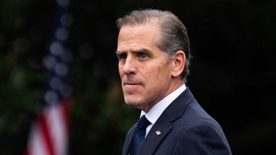 Hunter Biden trashes Democratic leadership, hails Gavin Newsom as party's 'greatest warrior' Byron Bay Accountants